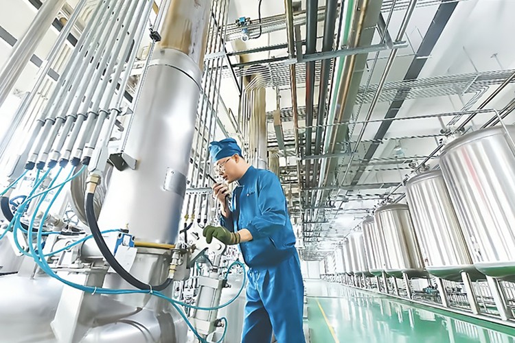 【如意新甘肅 臻品隴字號】一粒藥丸里的千年智慧與甘肅擔當